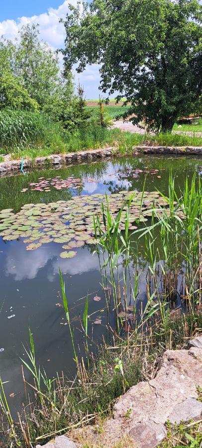 Domek U Rybnika Schloss Bosig エクステリア 写真